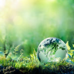 Vida ecològica: 10 tips per a gaudir-la al màxim i aprofitar els seus avantatges