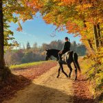 Consejos para una ruta a caballo perfecta